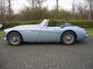 Austin Healy