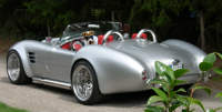 Cobra